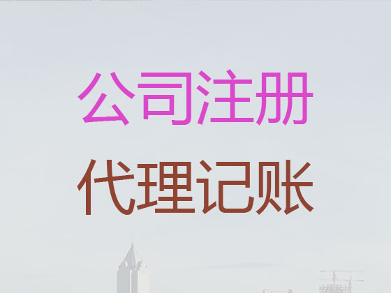 三亚记账报税代理|代办股份有限公司记账/做账代理